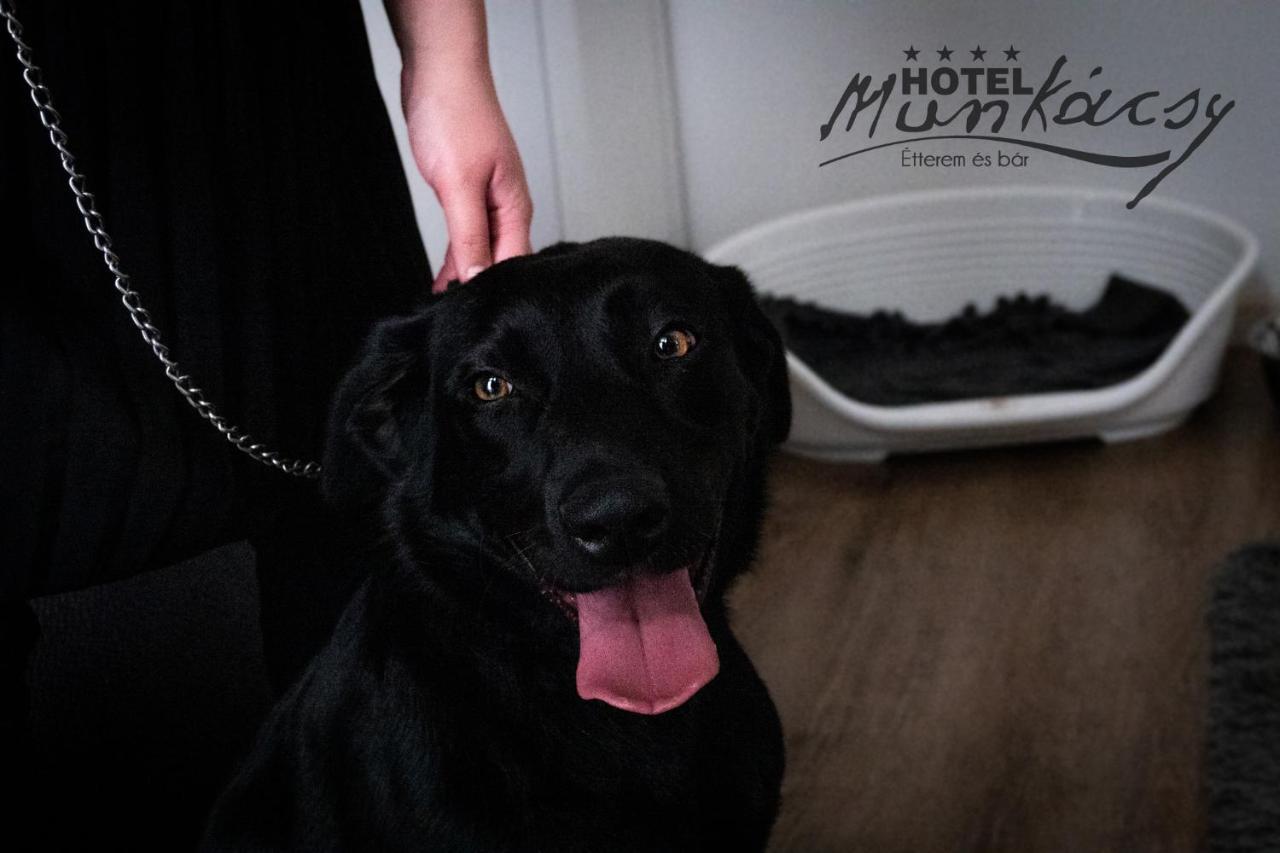 Munkacsy Hotel Bekescsaba Eksteriør bilde